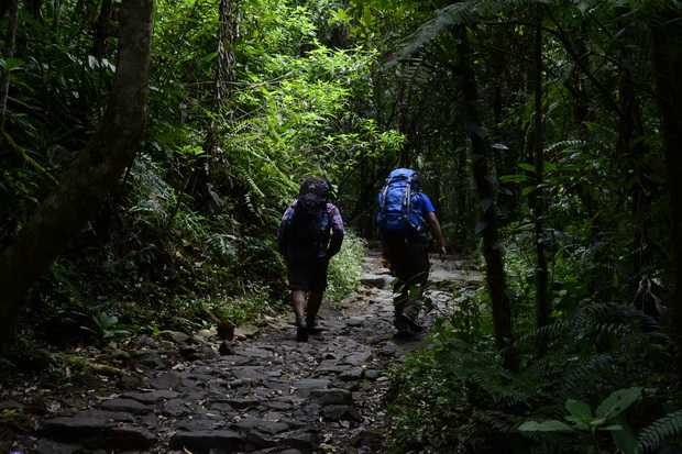 4 Mahasiswa Yogya Hilang Kontak saat Mendaki Gunung Merbabu