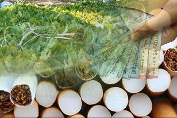Pengendalian Produksi Tembakau Dikhawatirkan Picu Kartel