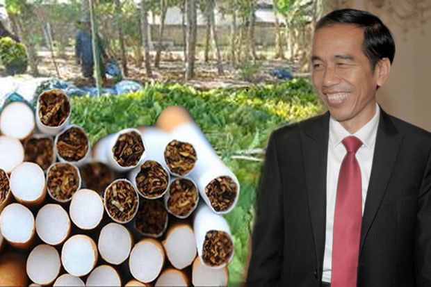 Jokowi Ogah Ikut-ikutan Teken Perjanjian Pengendalian Tembakau