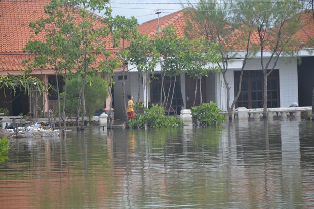 Banjir Rob Genangi Ribuan Rumah Warga Kota Tegal