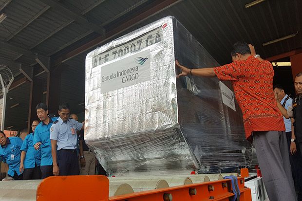 29.500 Ton Daging Sapi Australia Tiba di Bandara Soekarno-Hatta