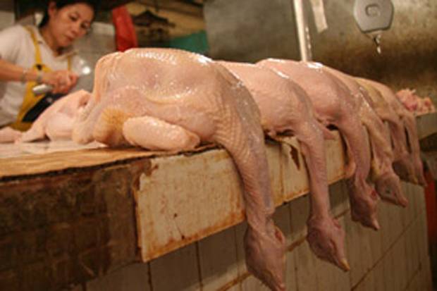 Harga Daging Ayam Tembus Rp60.000/Kilogram