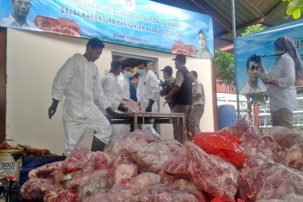 Balai Karantina Banten Bakar 1,9 Ton Daging Babi untuk Bakso