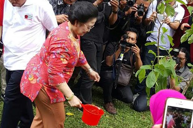 Megawati Berharap Indonesia Punya Kebun Raya yang Luas