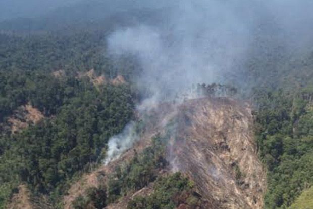 Bukit Barisan Dibakar, Dua Helikopter Dikerahkan Padamkan Api