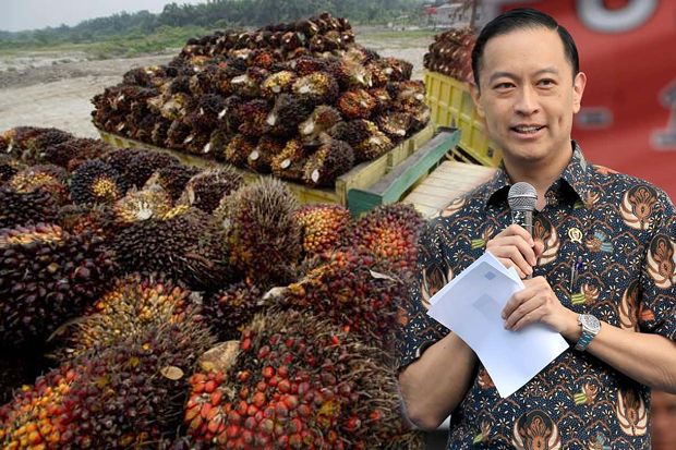 Lembong Sebut Investasi Kelapa Sawit Indonesia Kebablasan