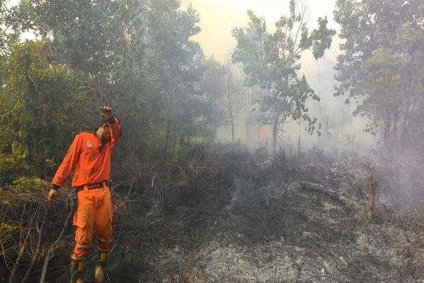 Kebakaran di Riau Mulai Masuk Kota Pekabaru