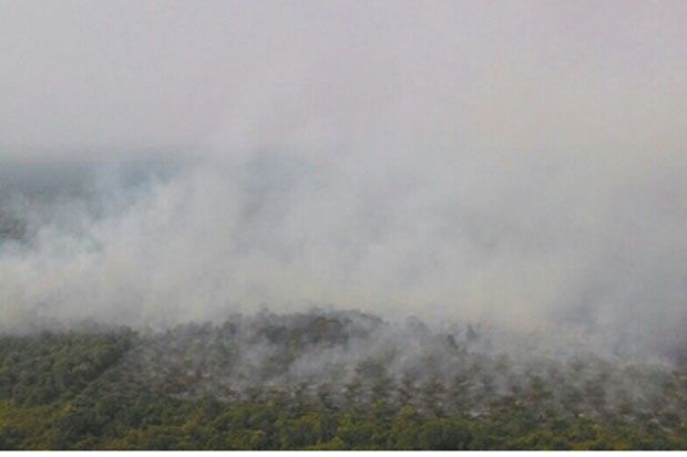 Kebakaran Lahan Sawit di Rohil Riau Terus Meluas