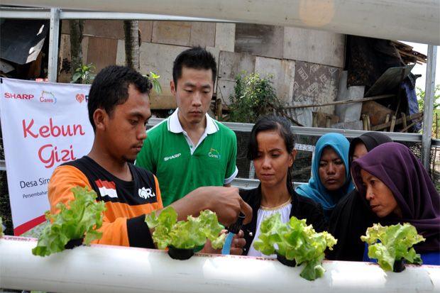 Atasi Masalah Gizi, Sharp Indonesia Hadirkan Kebun Gizi