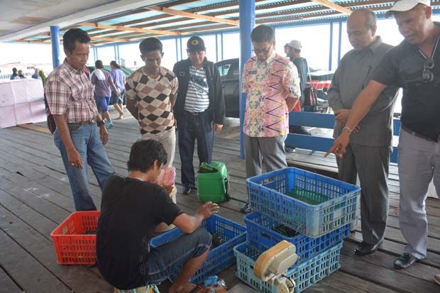 Kaltara Berhasil Ekspor Perdana Produk Perikanan ke Singapura