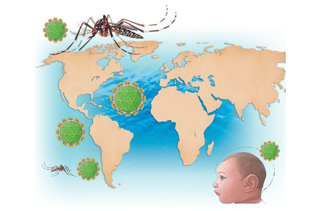 KBRI Telusuri Keberadaan WNI Terjangkit Virus Zika di Singapura