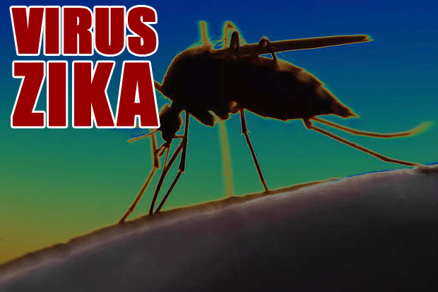 Cegah Virus Zika, Kuala Lumpur Bakal Lakukan Fogging