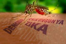 Siap Siaga Menghadapi Virus Zika