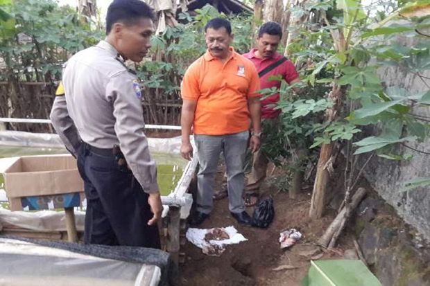 Pulang Mancing, Iroy Temukan Kuburan Janin di Samping Kolam