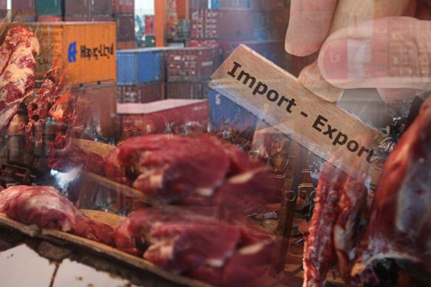 Pemerintah Bantah Gegabah Impor Daging Kerbau dari India