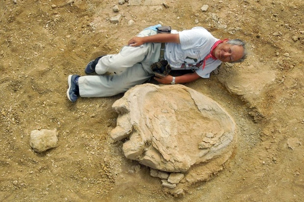 Jejak Dinosaurus Sebesar Manusia Ditemukan di Mongolia