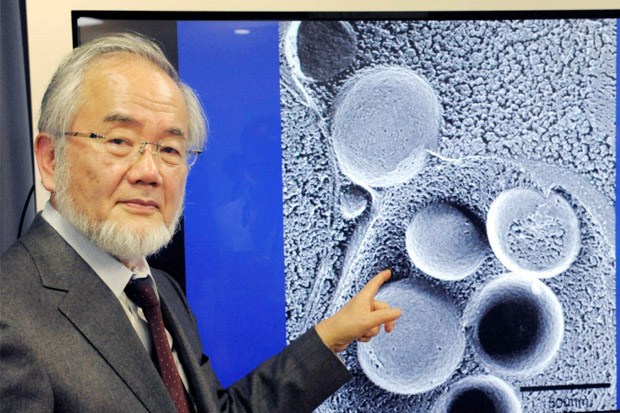 Ilmuwan Jepang Raih Hadiah Nobel Bidang Kedokteran