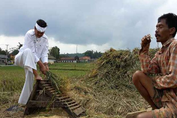 Foto Bupati Purwakarta Dedi Mulyadi Jadi Buruh Tani Bikin Heboh