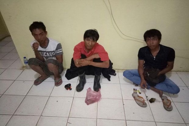 Curi Cabai di Kebun Petani, Tiga Pemuda Dibekuk Polisi