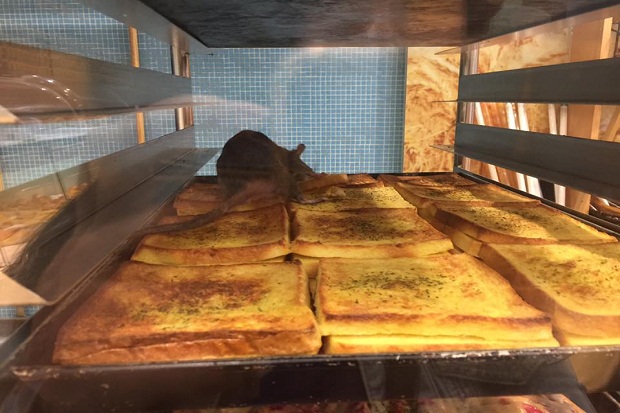 Tikus Nangkring di Roti Mal, Waralaba Bakery Malaysia Minta Maaf