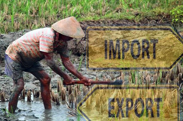 Banjir Kritikan, Pemerintah Kapok Impor Cangkul
