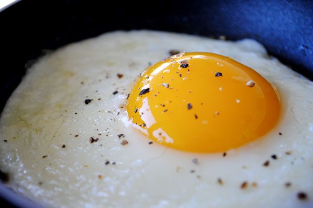 Sebutir Telur dalam Sehari Bantu Kurangi Risiko Terkena Stroke