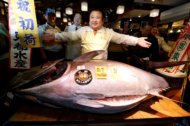 Pria Jepang Beli Seekor Tuna Seharga Rp8,5 Miliar