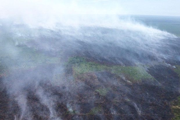 Hutan Lindung Bukit Betabuh Riau Terbakar