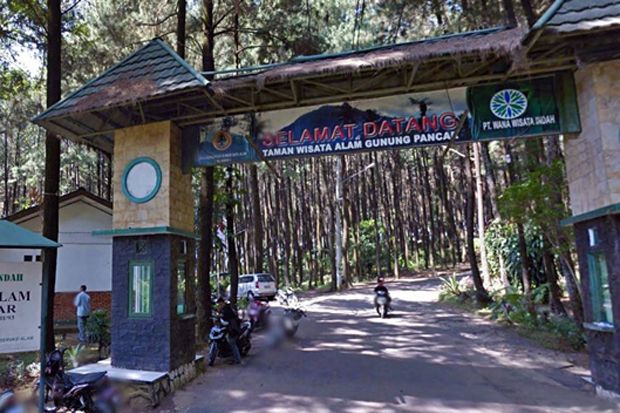 5 Destinasi Wisata Menarik Selain Kebun Teh di Puncak Bogor