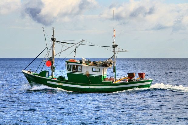 Banyak ABK Indonesia di Kapal Ikan Asing Jadi Korban Eksploitasi