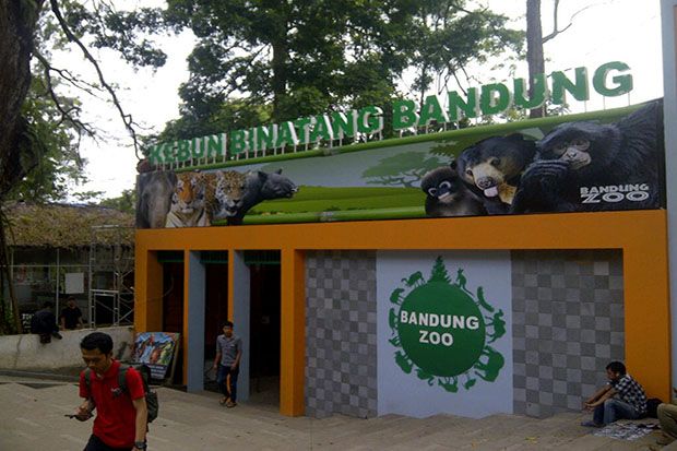 PKBSI Tak Akan Tutup Kebun Binatang Bandung