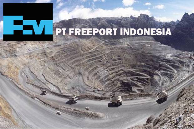 Freeport Tunggak Pajak Rp3,5 Triliun ke Pemprov Papua