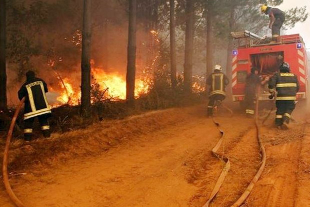 Bencana Kebakaran Hutan di Chili, 10 Tewas