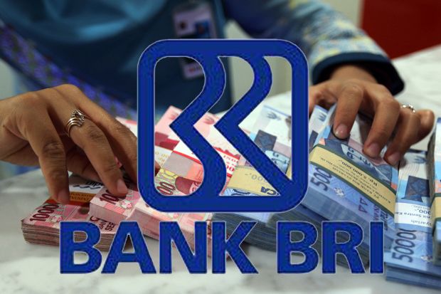 Penyaluran Kredit Bank BRI Didominasi Sektor Mikro