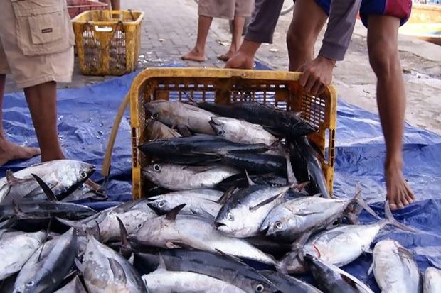 Cuaca Buruk Pengaruhi Harga Ikan Makin Mahal