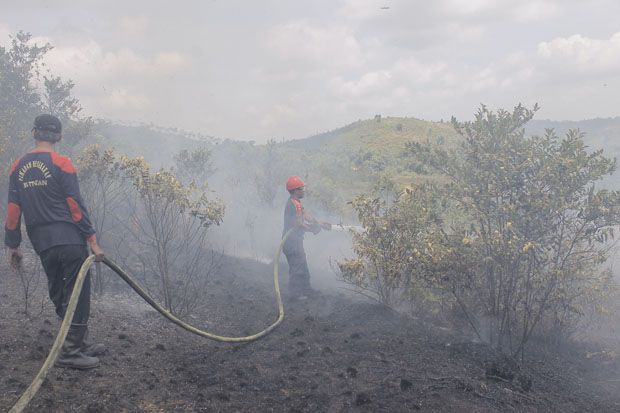 Diduga Sengaja Dibakar, 50 Hektare Lahan di Bukit Zaitun Terbakar