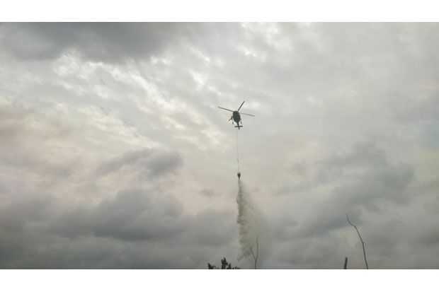 Helikopter Dikerahkan Padamkan Kebakaran Dekat Suaka Margasatwa