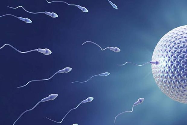 Penggunaan Tabir Surya Bisa Pengaruhi Kualitas Sperma