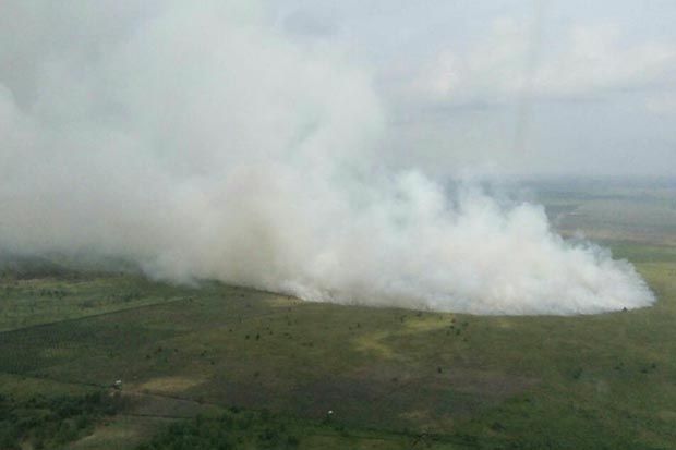 Kebakaran Lahan di Rokan Hilir Mencapai 20 Hektare
