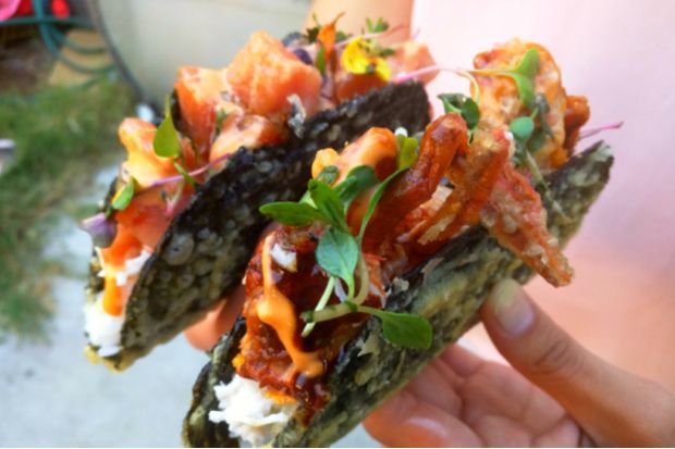 Menyantap Perpaduan Kuliner Jepang & Meksiko di Norigami Tacos