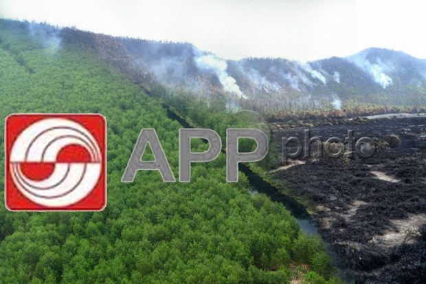 APP Kerahkan Dua Helikopter Bantu Pemadaman Kebakaran Hutan