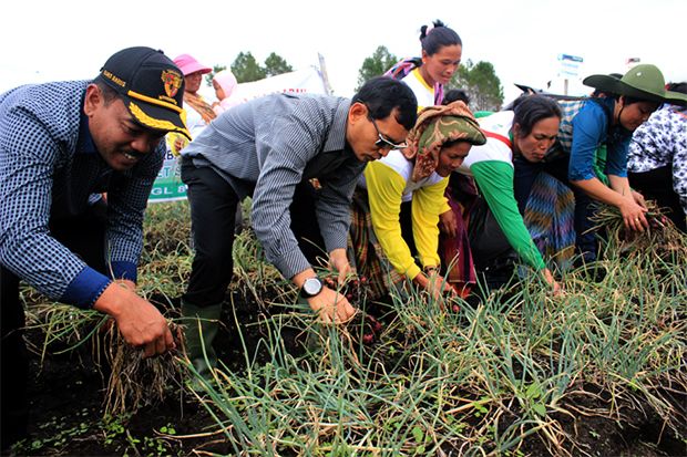 JR Saragih Kembangkan Agrowisata di 10 Kecamatan