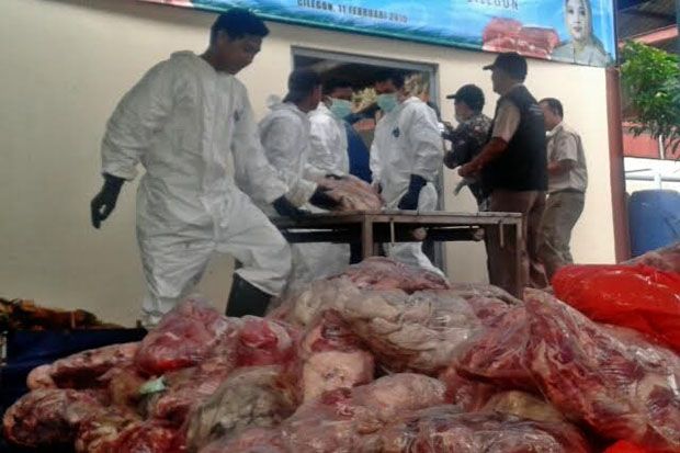 Badan Karantina Pertanian Cilegon Bakar 2,8 Ton Daging Babi Hutan