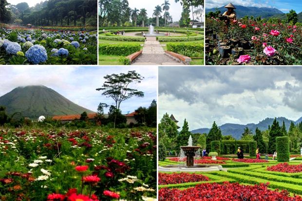 10 Taman Bunga Terindah di Indonesia