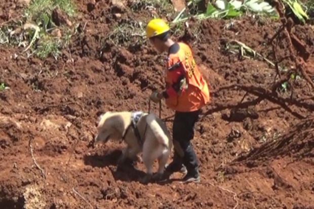 Anjing Pelacak Ditemukan Dua Titik Korban Longsor Nganjuk