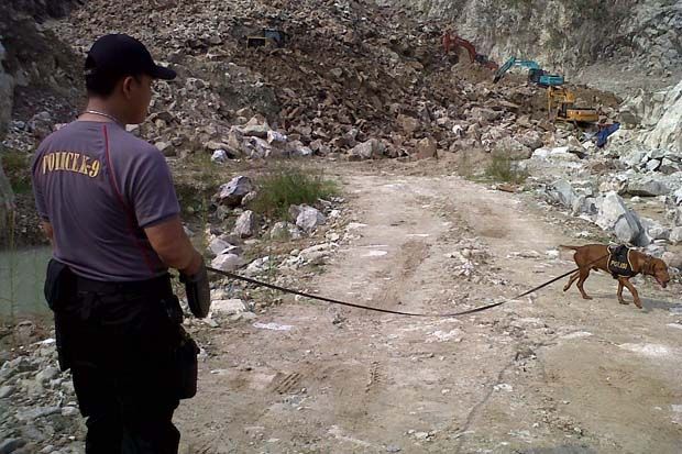 Cari Korban Longsor di Luwu Timur, BPBD Bakal Terjunkan Anjing Pelacak