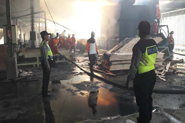 Pabrik Tripleks Ludes Terbakar, Kerugian Capai Ratusan Juta Rupiah