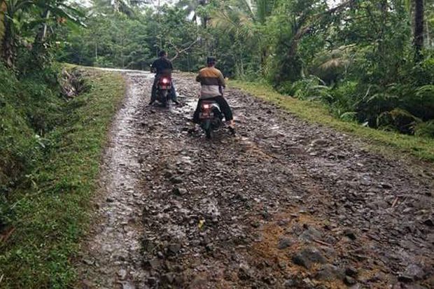 98,9 Kilometer Jalan Kabupaten di Pangandaran Rusak