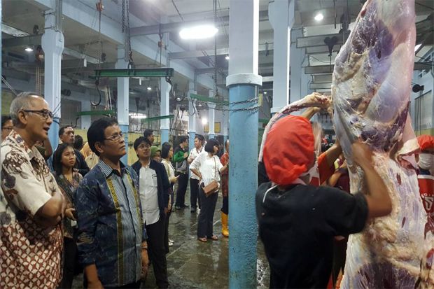 Cek Stok Daging Sapi Jelang Ramadhan, Kementan Sidak ke RPH di Bandung