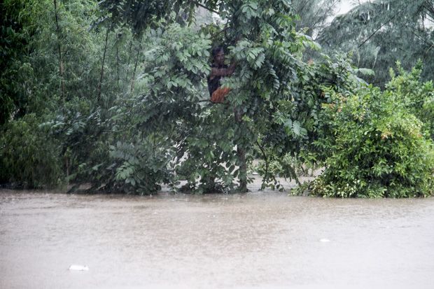 Tak Bisa Berenang Pria Ini 2 Jam Bertahan di Atas Pohon Akibat Banjir